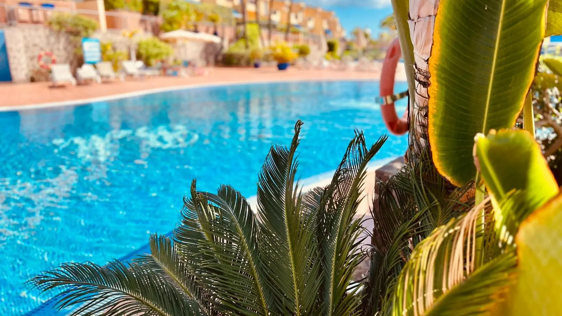 Jardin Del Atlantico Villa Maspalomas